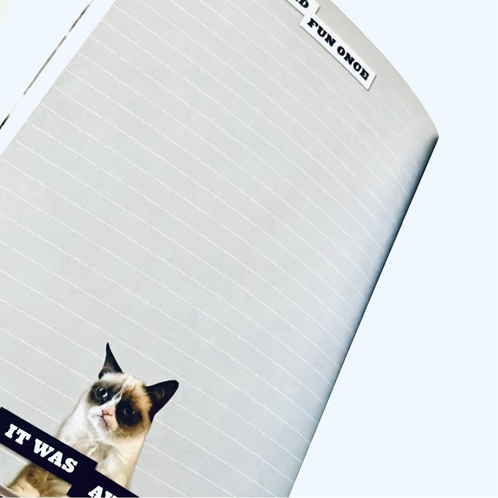 Grumpy Cat Notebook Planner - Picture 4 of 5